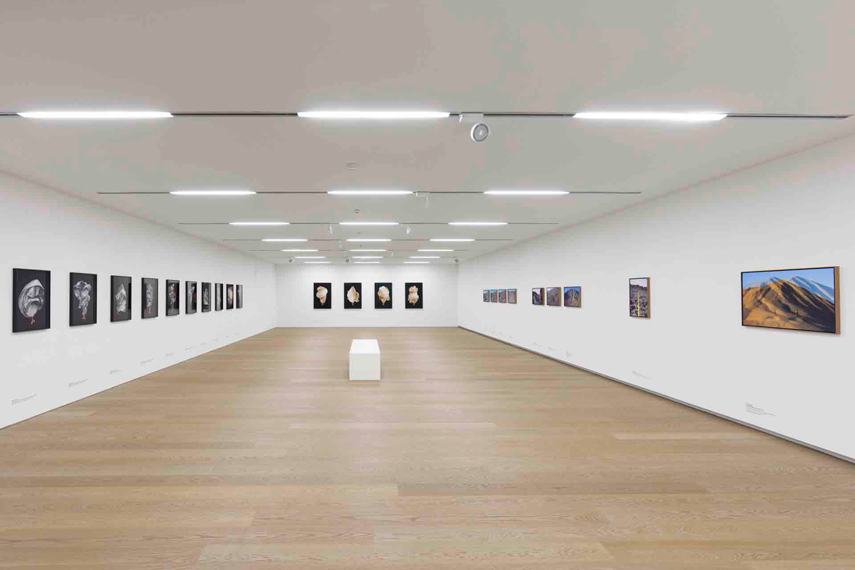 MOMENTUM Über die Kunst, die Zeit anzuhalten