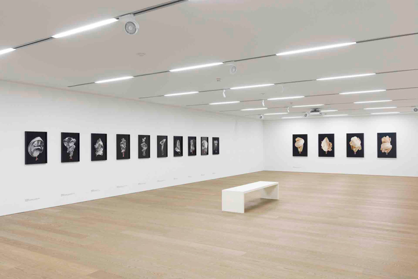 MOMENTUM Über die Kunst, die Zeit anzuhalten